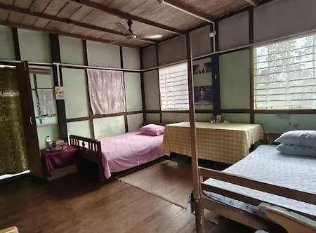 Asomi Singpho Homestay Tinsukia Bagian luar foto