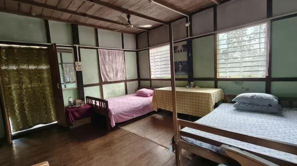 Asomi Singpho Homestay Tinsukia Bagian luar foto